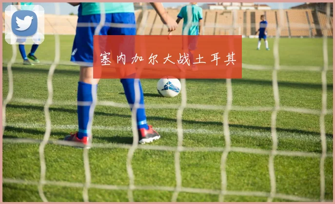 塞内加尔大战土耳其