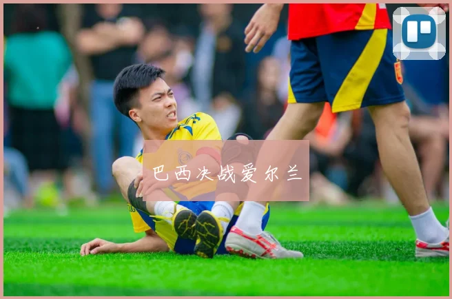巴西决战爱尔兰