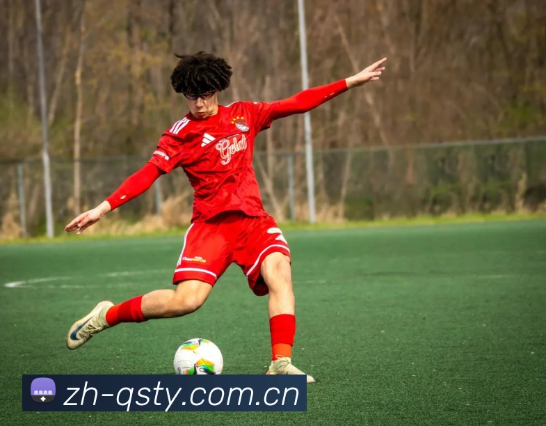 球速体育球速平台体育数据展示